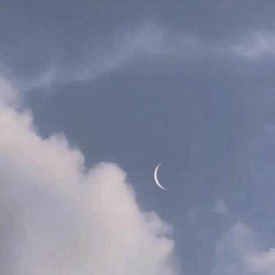 长留仙缘内购破解版下载